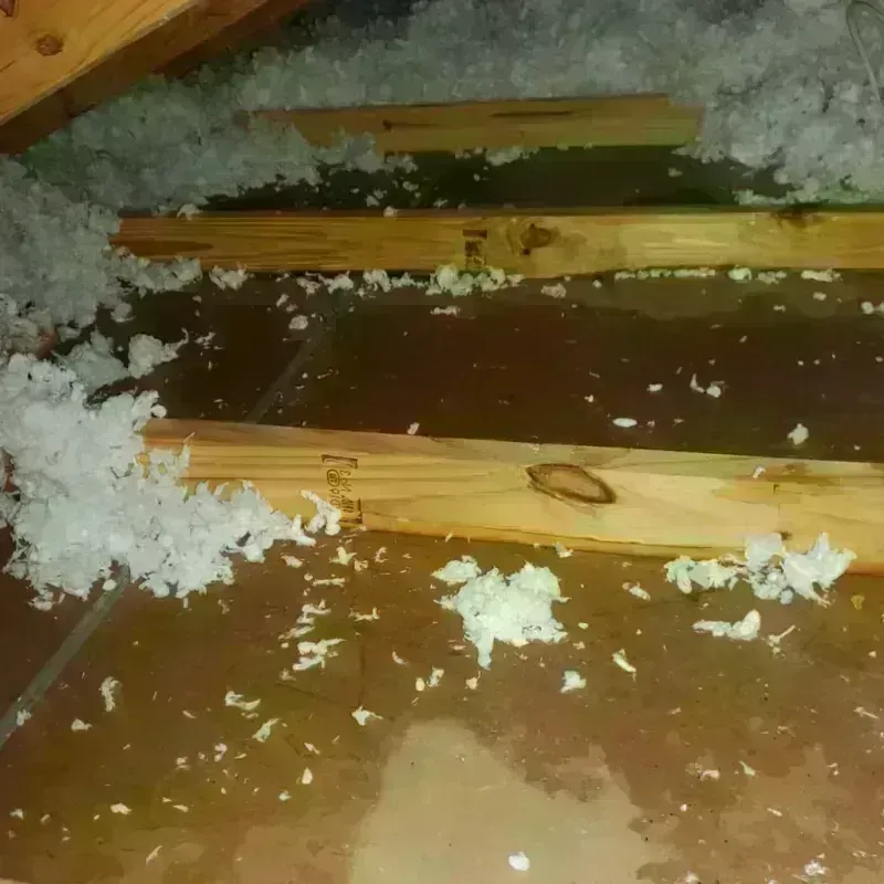 Attic Water Damage in Morgantown, MS