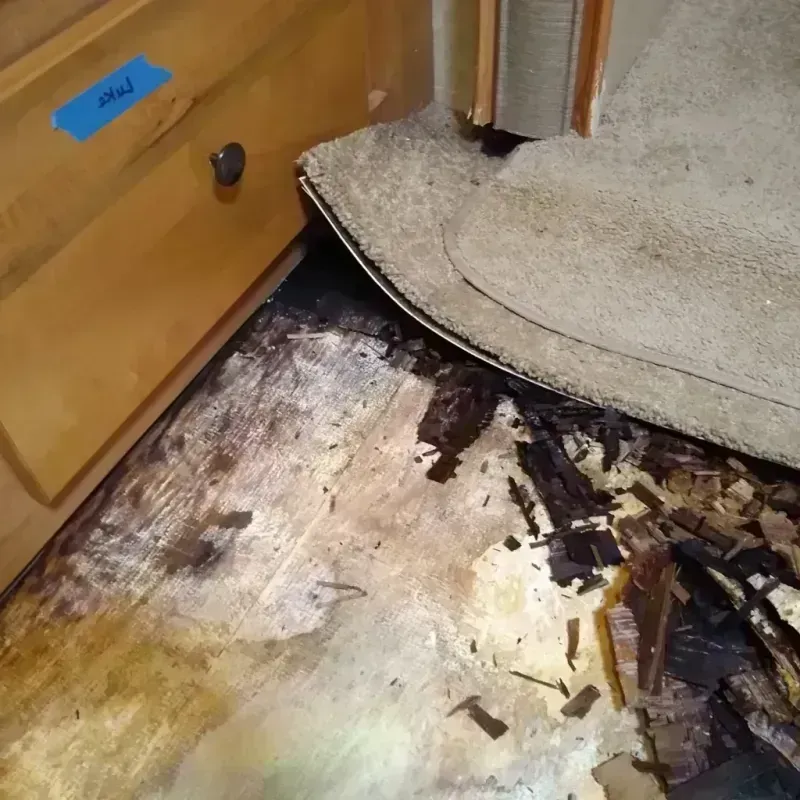 Wood Floor Water Damage in Morgantown, MS